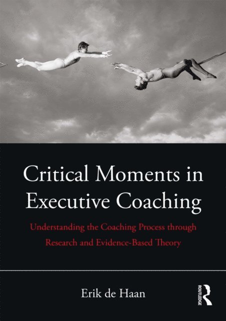 Erik de Haan - Critical Moments in Executive Coaching, E-bok