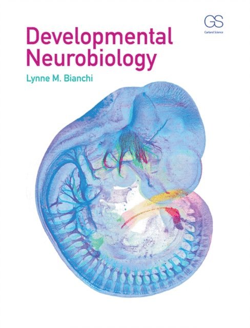 Lynne Bianchi - Developmental Neurobiology, E-bok