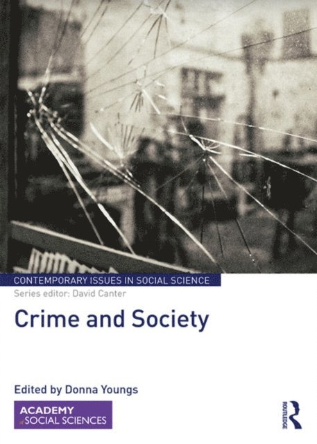 Donna Youngs - Crime and Society, E-bok