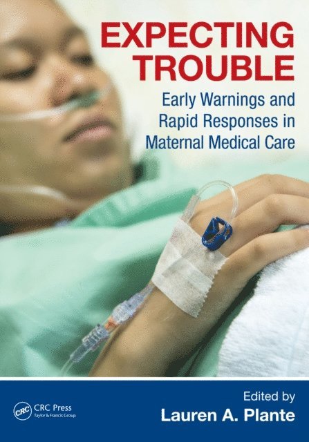 Lauren A. Plante - Expecting Trouble, E-bok