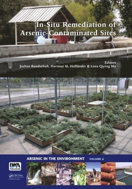 Lena Qiying Ma, Hartmut M. HollA¤nder, Jochen Bundschuh - In-Situ Remediation of Arsenic-Contaminated Sites, E-bok