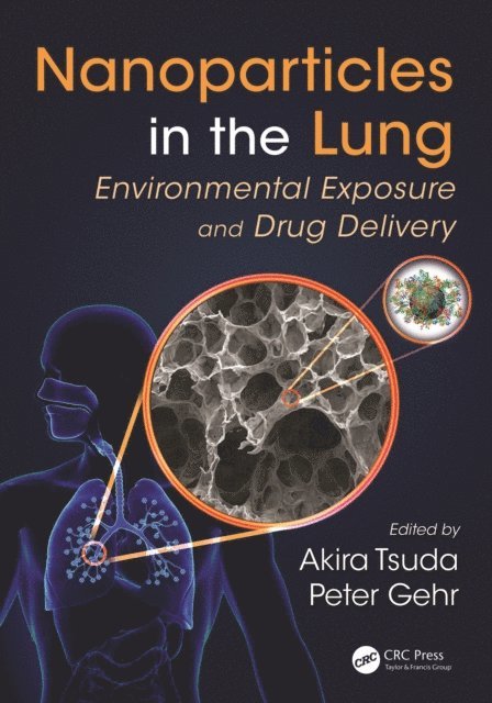 Peter Gehr, Akira Tsuda - Nanoparticles in the Lung, E-bok