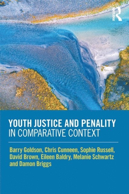 Damon Briggs, Melanie Schwartz, Eileen Baldry, David Brown, Sophie Russell, Chris Cunneen, Barry Goldson - Youth Justice and Penality in Comparative Context, E-bok