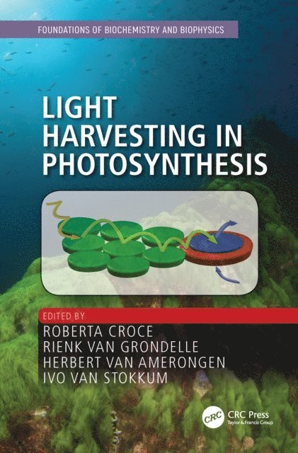 Ivo van Stokkum, Herbert van Amerongen, Rienk van Grondelle, Roberta Croce - Light Harvesting in Photosynthesis, E-bok