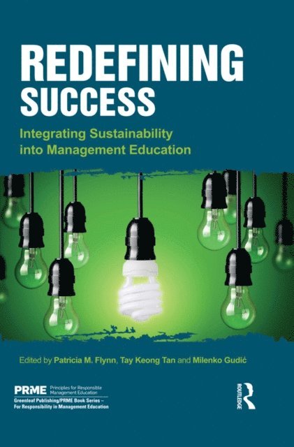 Milenko Gudic, Tay Keong Tan, Patricia M. Flynn - Redefining Success, E-bok