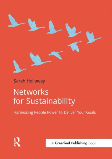 Sarah Holloway - Networks for Sustainability, E-bok