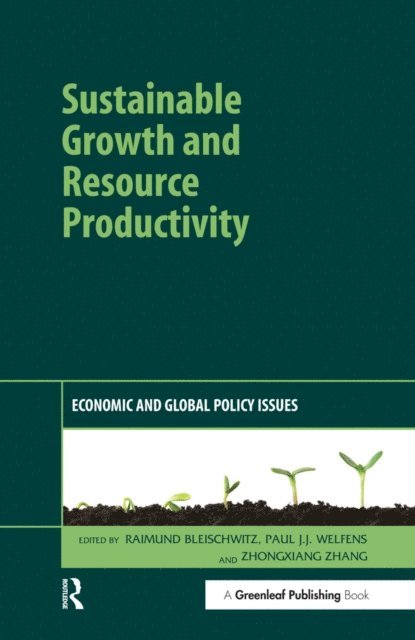 ZhongXiang Zhang, Paul Welfens, Raimund Bleischwitz - Sustainable Growth and Resource Productivity, E-bok