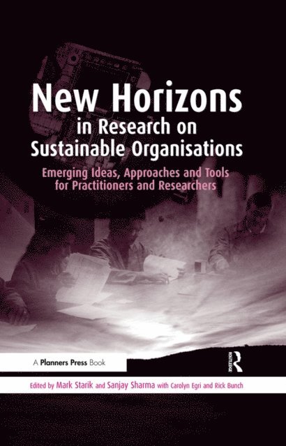 Rick Bunch, Carolyn Egri, Sanjay Sharma, Mark Starik - New Horizons in Research on Sustainable Organisations, E-bok