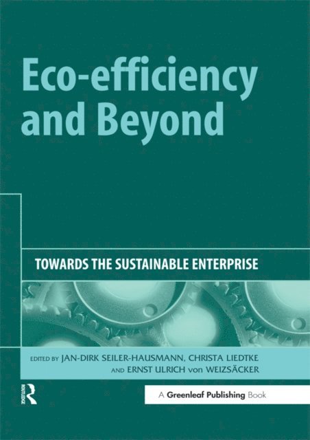 Ernst Ulrich von Weizsacker, Christa Liedtke, Jan-Dirk Seiler-Hausmann - Eco-efficiency and Beyond, E-bok