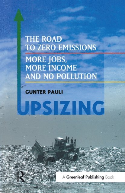 Gunter Pauli - UpSizing, E-bok