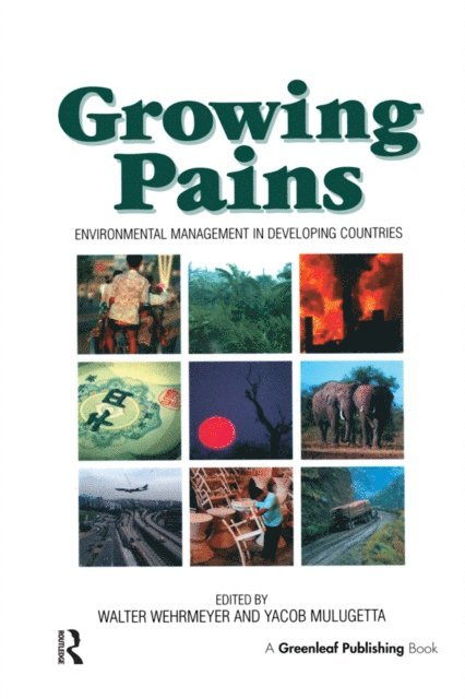 Yacob Mulugetta, Walter Wehrmeyer - Growing Pains, E-bok