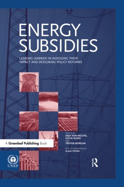 Klaus Topfer, Trevor Morgan, Colin McKee, Anja von Moltke - Energy Subsidies, E-bok