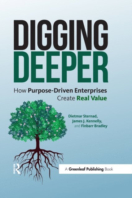 Finbarr Bradley, James J. Kennelly, Dietmar Sternad - Digging Deeper, E-bok