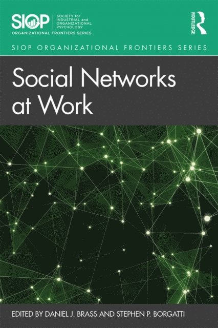 Stephen P. Borgatti, Daniel J. Brass - Social Networks at Work, E-bok
