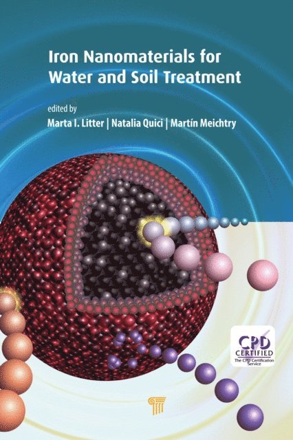 Martin Meichtry, Natalia Quici, Marta I. Litter - Iron Nanomaterials for Water and Soil Treatment, E-bok