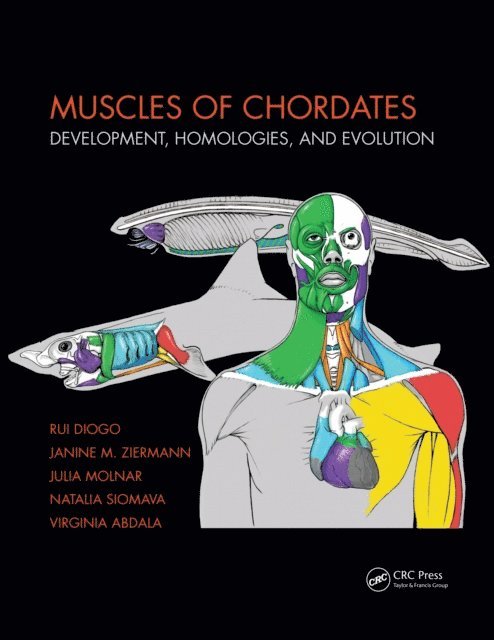 Virginia Abdala, Natalia Siomava, Julia Molnar, Janine M. Ziermann, Rui Diogo - Muscles of Chordates, E-bok