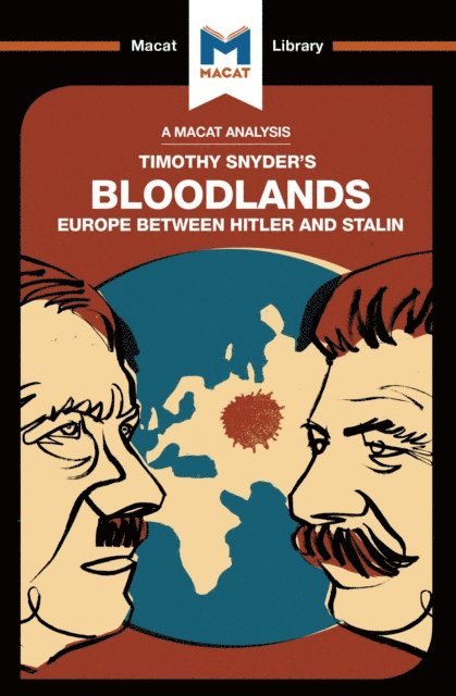 Helen Roche - Analysis of Timothy Snyder's Bloodlands, E-bok