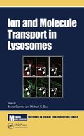 Ion and Molecule Transport in Lysosomes