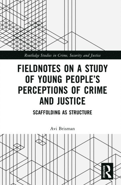 Avi Brisman - Fieldnotes on a Study of Young Peoplea  s Perceptions of Crime and Justice, E-bok