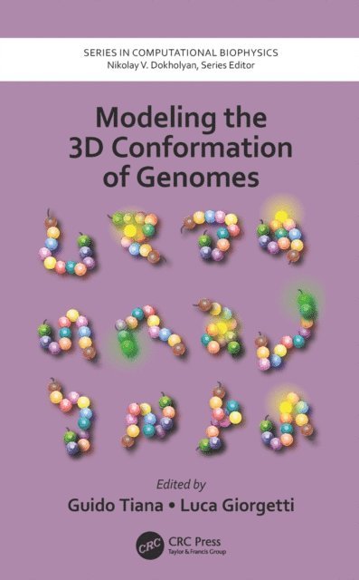 Luca Giorgetti, Guido Tiana - Modeling the 3D Conformation of Genomes, E-bok