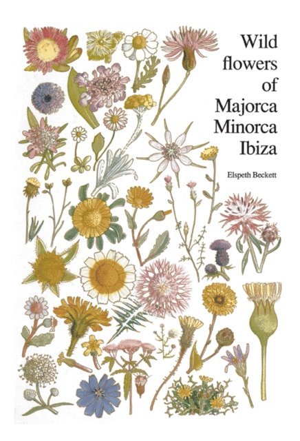 Elspeth Beckett - Wild flowers of Majorca Minorca and Ibiza, E-bok