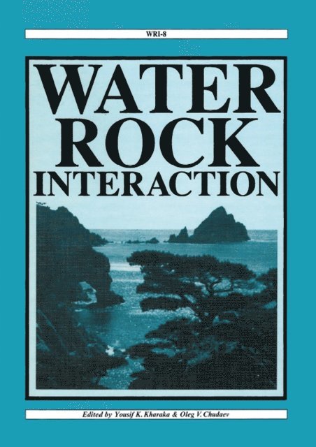 Oleg V. Chudaev, Yousif K. Kharaka - Water-Rock Interaction, E-bok