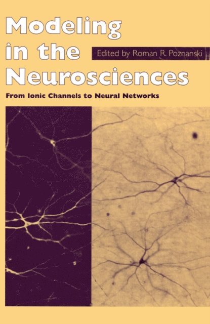 R.R. Poznanski - Modeling in the Neurosciences, E-bok