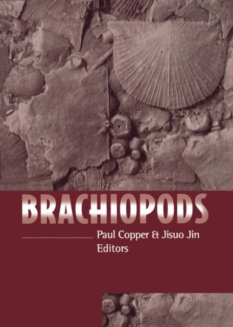 Paul Copper - Brachiopods, E-bok