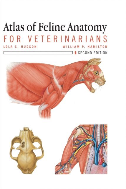 William Hamilton, Lola Hudson - Atlas of Feline Anatomy For Veterinarians, E-bok