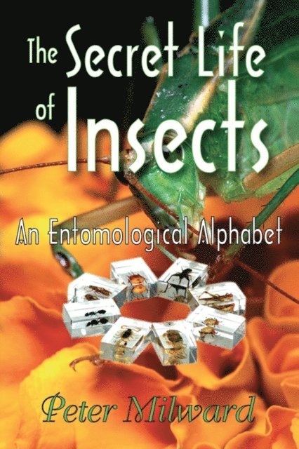 Peter Milward - Secret Life of Insects, E-bok