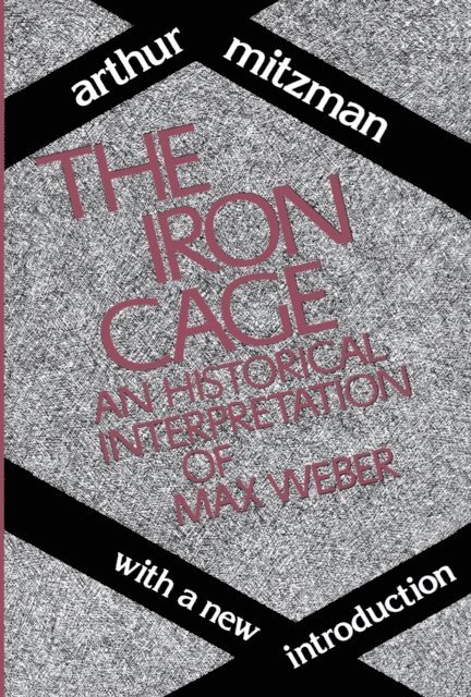Arthur Mitzman, Catherine Ross - Iron Cage, E-bok