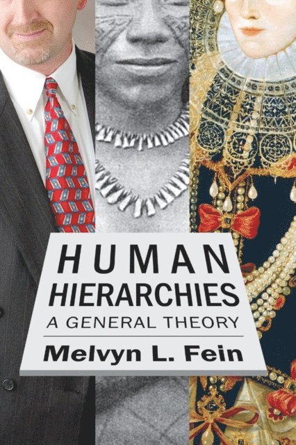 Melvyn L. Fein - Human Hierarchies, E-bok