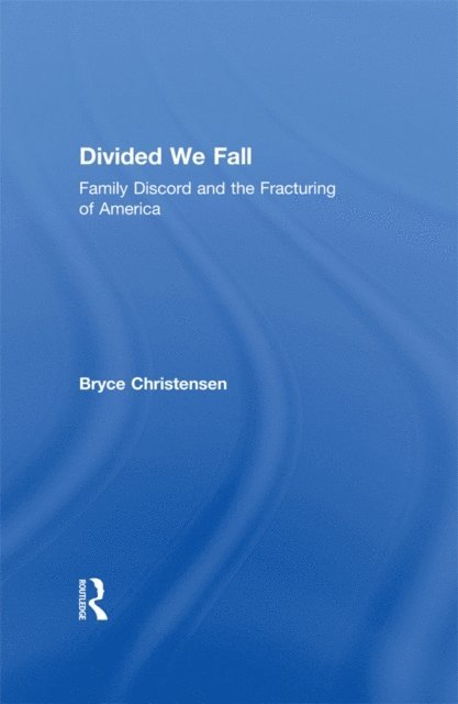 Bryce J. Christensen, M. Afzalur Rahim - Divided We Fall, E-bok