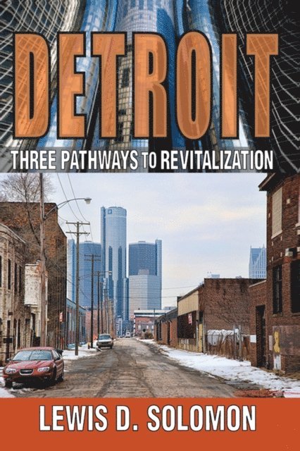 Lewis D. Solomon - Detroit, E-bok