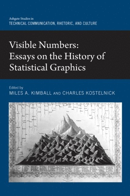 Charles Kostelnick, Miles A. Kimball - Visible Numbers, E-bok