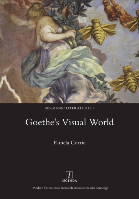 Pamela Currie - Goethe's Visual World, E-bok