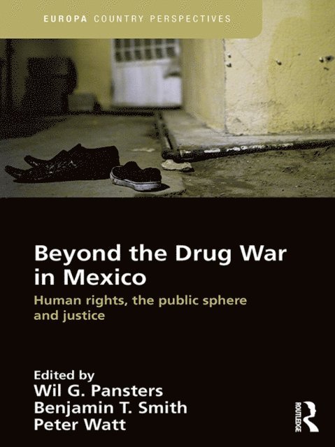 Peter Watt, Benjamin T. Smith, Wil G. Pansters - Beyond the Drug War in Mexico, E-bok
