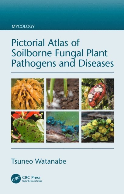 Tsuneo Watanabe - Pictorial Atlas of Soilborne Fungal Plant Pathogens and Diseases, E-bok