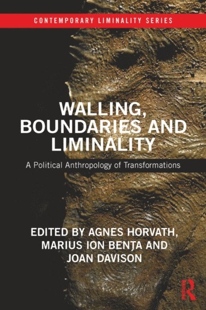 Joan Davison, Marius Ion BenAGBPa, Agnes Horvath - Walling, Boundaries and Liminality, E-bok