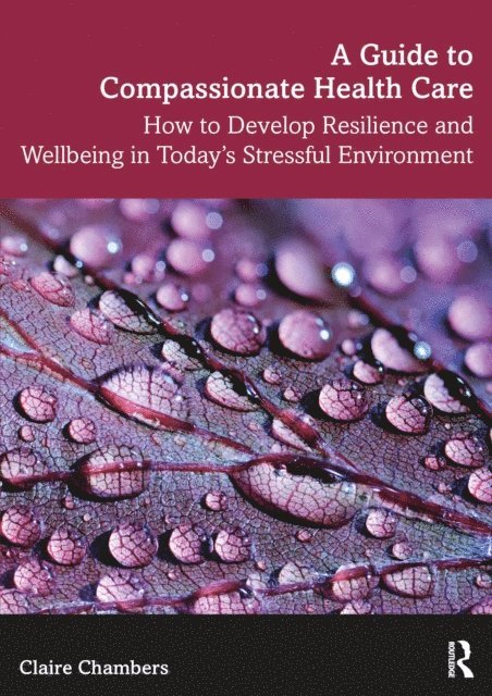 Claire Chambers - Guide to Compassionate Healthcare, E-bok