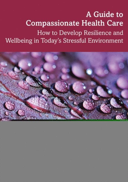 Claire Chambers - Guide to Compassionate Healthcare, E-bok
