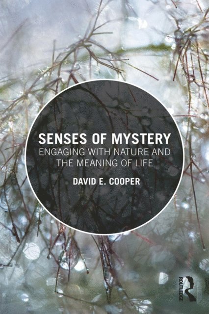 David E. Cooper - Senses of Mystery, E-bok