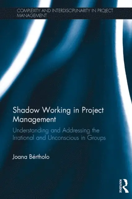 Joana Bertholo - Shadow Working in Project Management, E-bok. Tillgänglighet: Lägg i varukorg