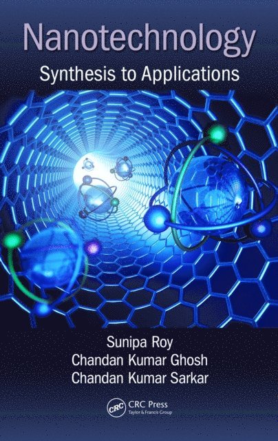 Chandan Kumar Sarkar, Chandan Kumar Ghosh, Sunipa Roy - Nanotechnology, E-bok