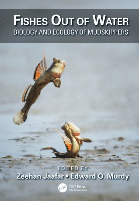 Edward O. Murdy, Zeehan Jaafar - Fishes Out of Water, E-bok