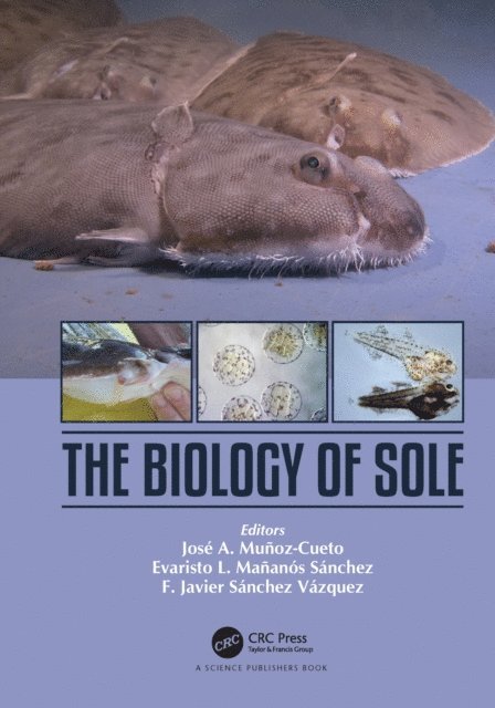 F. Javier Sanchez-Vazquez, Evaristo Mananos-Sanchez, Jose A. Munoz-Cueto - Biology of Sole, E-bok. Tillgänglighet: Lägg i varukorg