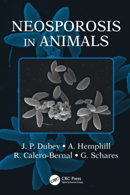 Gereon Schares, R. Calero-Bernal, A. Hemphill, J.P. Dubey - Neosporosis in Animals, E-bok