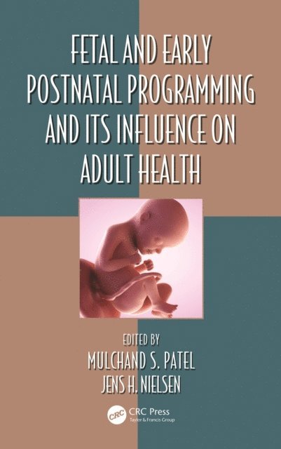 Jens H. Nielsen, Mulchand S. Patel - Fetal and Early Postnatal Programming and its Influence on Adult Health, E-bok