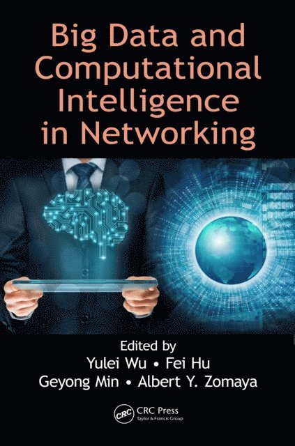 Albert Y. Zomaya, Geyong Min, Fei Hu, Yulei Wu - Big Data and Computational Intelligence in Networking, E-bok