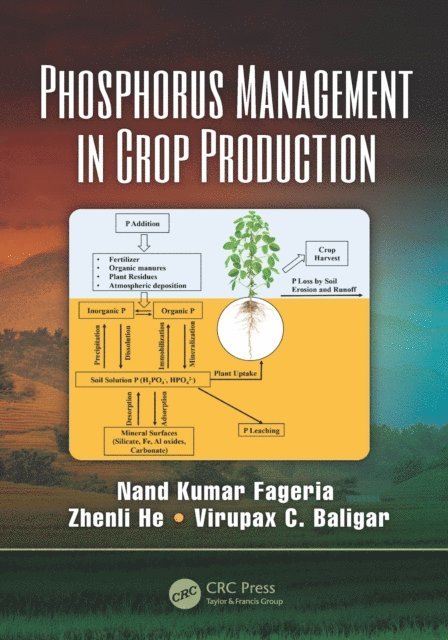Virupax C. Baligar, Zhenli He, Nand Kumar Fageria - Phosphorus Management in Crop Production, E-bok